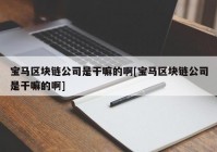 宝马区块链公司是干嘛的啊[宝马区块链公司是干嘛的啊]