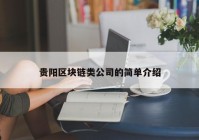 贵阳区块链类公司的简单介绍